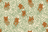 Cushion +One Cottage