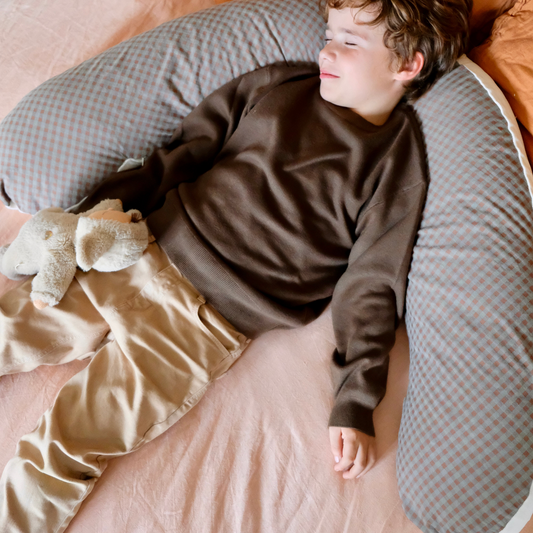 Vichy Chestnut Nursing Pillow